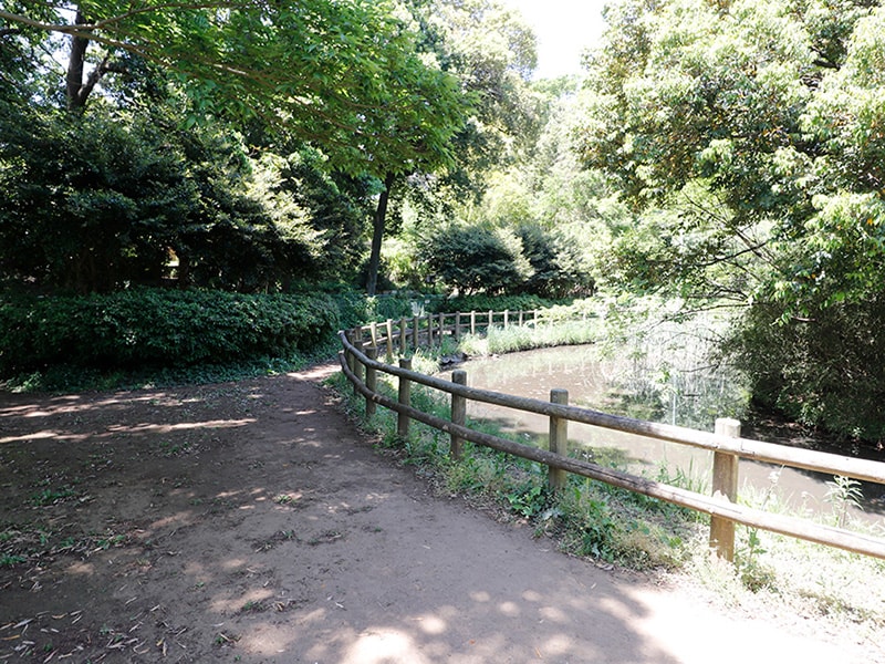 飯山満緑地公園