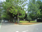 北習志野近隣公園