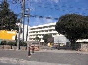 坪井中学校