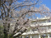 古和釜小学校