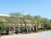 大穴小学校