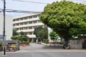 坪井小学校
