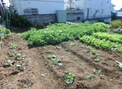 船橋市芝山６丁目
