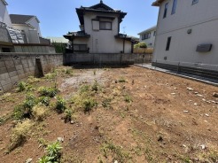 現地（２２６年５月１０日）撮影