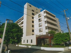 現地外観