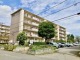 千葉県船橋市緑台 