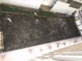 バルコニーから見た庭
