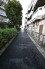 遊歩道 300m