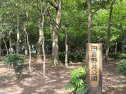 田喜野井公園
